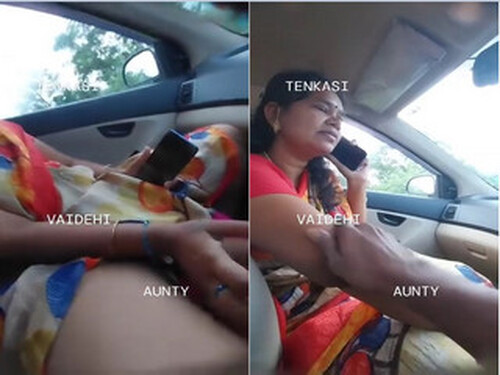 Horny Indian Aunty Pussy Fingering In Car