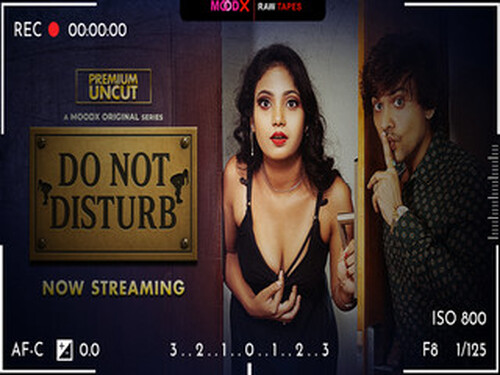 Do Not Disturb – 2025 – Hindi UNEDITED Web Series – MoodX